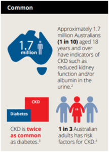 Infographic explaining how common chronic kidney disease is in Australia