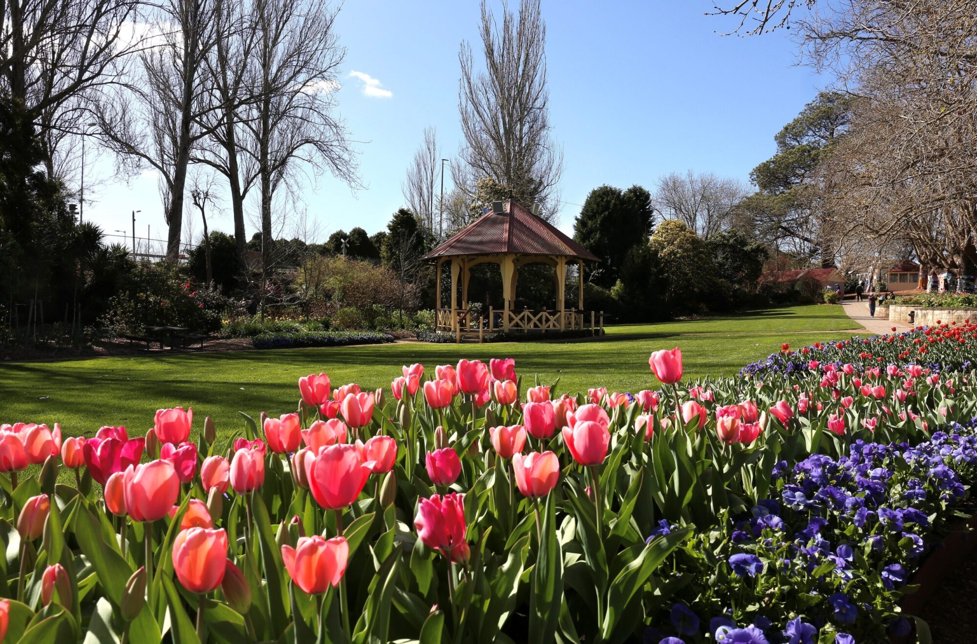 Place a heart to remember those who lost their life to suicide – Hearts in the Park 2023