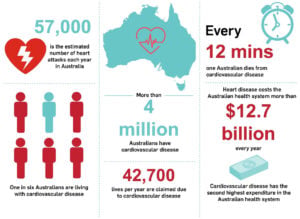 This 2024 cardiovascular disease infographic from Heart Research Institute shows in Australia there is an average 57,000 heart attacks each year, a person dies from CVD every 12-minutes, over 4 million Australian have CVD - which is one in six people, and the cost of CVD on the Australian health system is more than $12.7 billion dollars annually. Around 42,700 liver are claimed due to CVD each year.