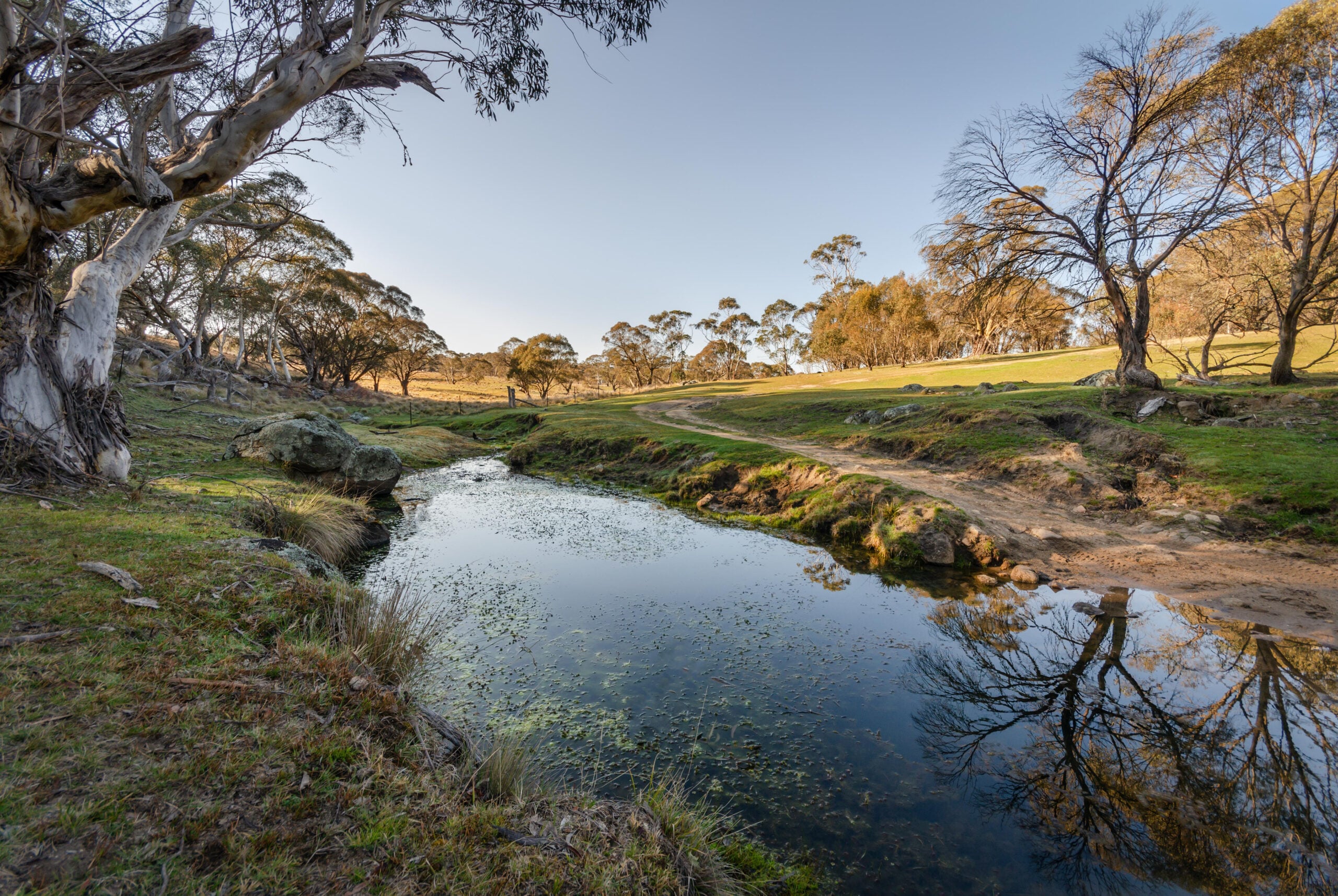 The Community Yarning, Community Healing program